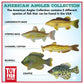 Toy Fish Factory American Angler Collection Toy Fish Set, Toy Fish Figurines, Largemouth Bass Catfish Bluegill Crappie Striper, Educational Toy, Fish