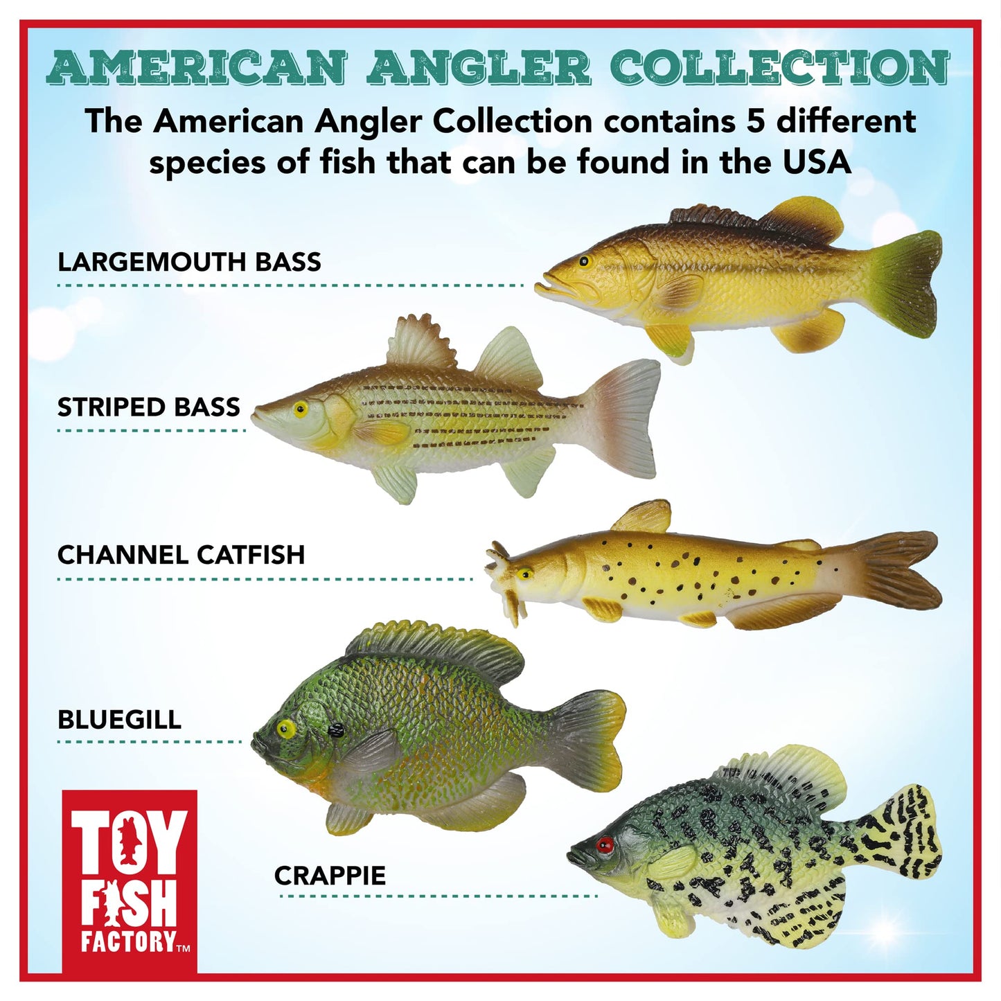Toy Fish Factory American Angler Collection Toy Fish Set, Toy Fish Figurines, Largemouth Bass Catfish Bluegill Crappie Striper, Educational Toy, Fish