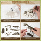 VIBIRIT Dig Up Dinosaurs Skeleton Set,Dinosaur Digging Fossil Kit Model Toys,Excavation Kits for kids5-12year,Educational Realistic Toys