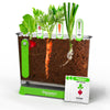 Discovery™ Edible Veggie Garden Watch-It-Grow Kit - DIY STEM Activity for Kids | Grow Carrots, Radishes & Onions| 11-Piece Science Kit with Seeds