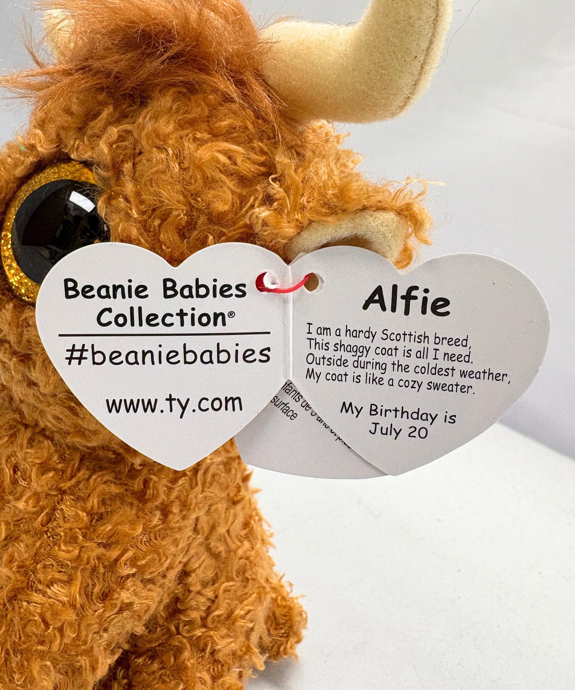 Ty Beanie Boos Alfie The The Highland Cow - 6"