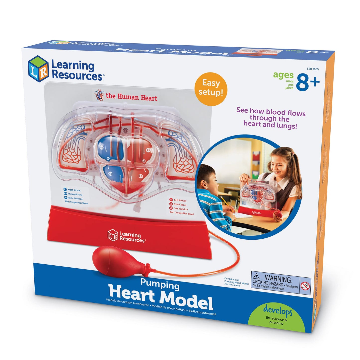 Learning Resources Pumping Heart Model - Science Classroom Must Haves, STEM Student Essentials, Practice Anatomy, Cardiology Artery and Veins Study