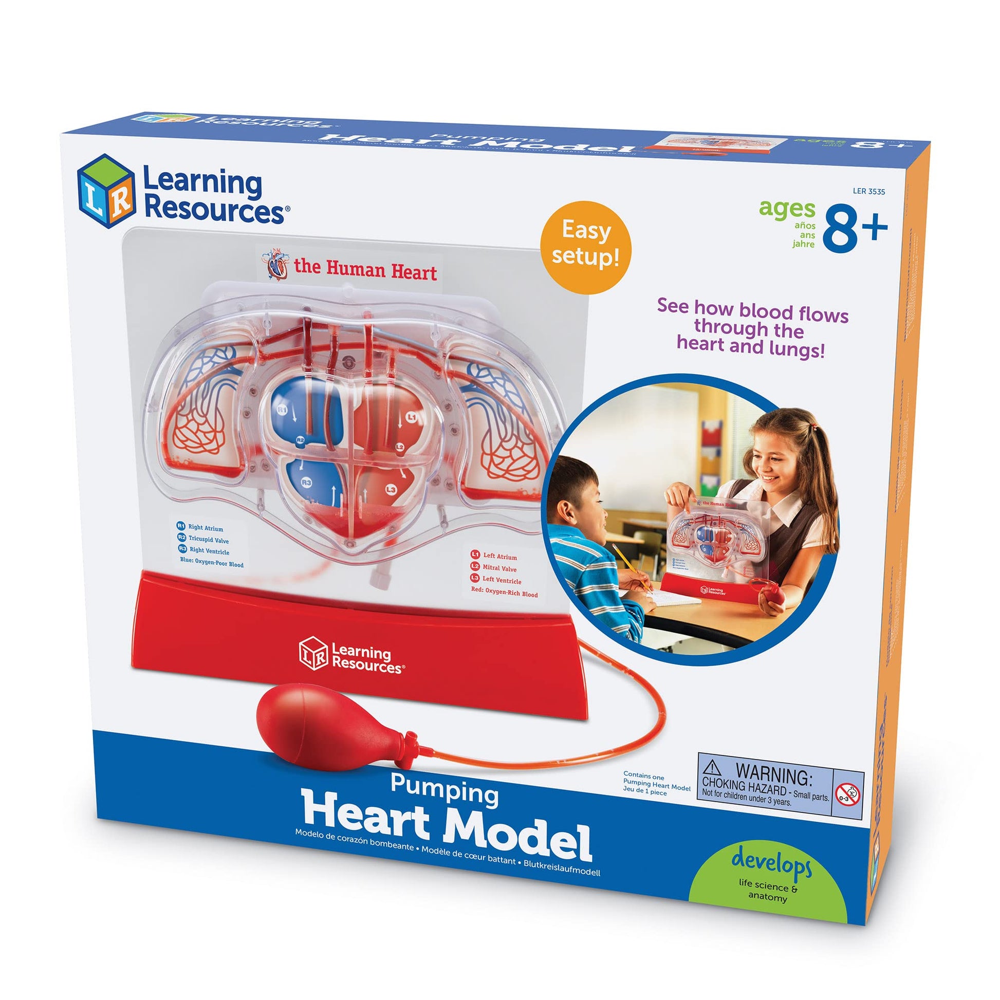 Learning Resources Pumping Heart Model - Science Classroom Must Haves, STEM Student Essentials, Practice Anatomy, Cardiology Artery and Veins Study