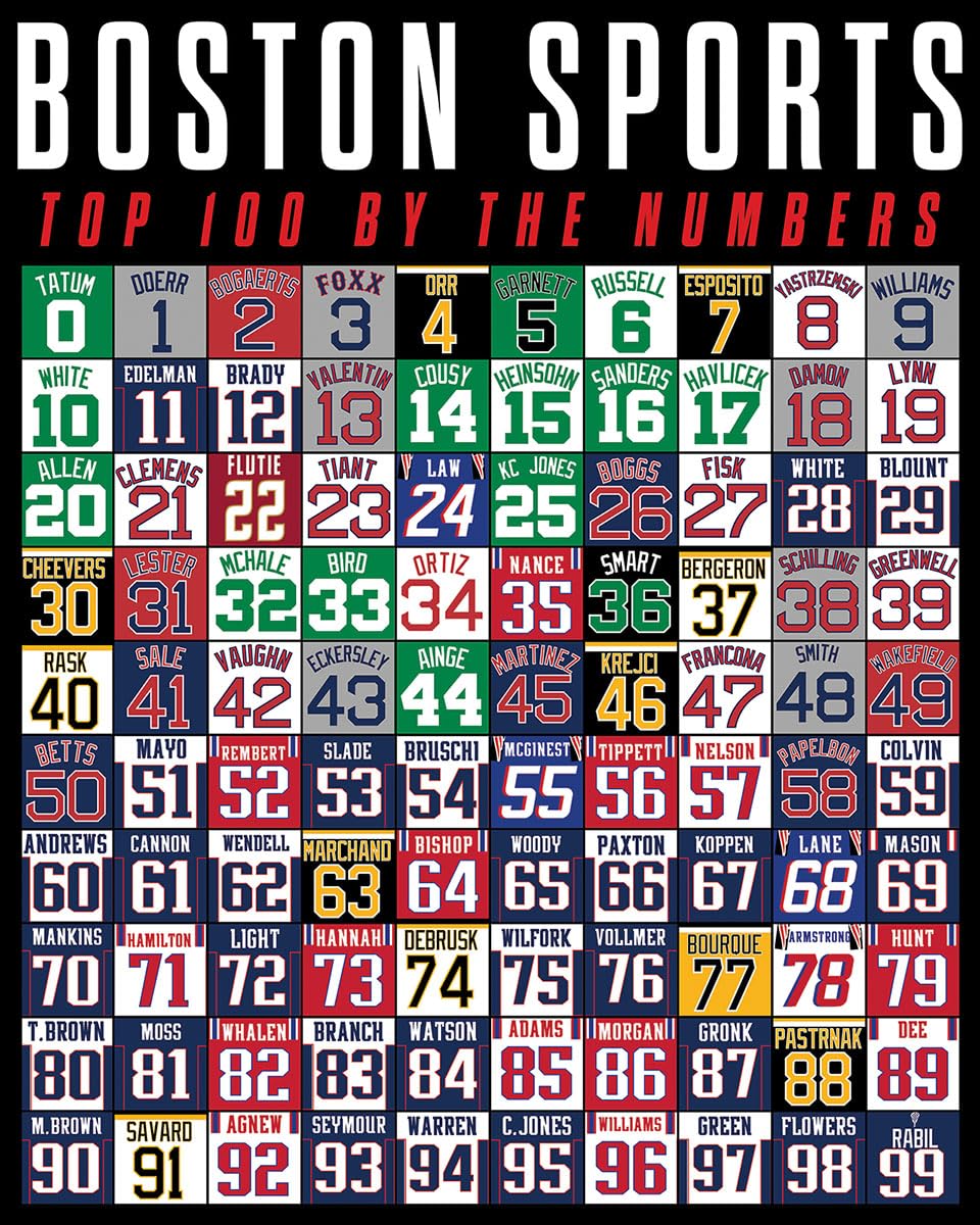 White Mountain 1000 Piece Jigsaw Puzzle, Boston's Top 100 States