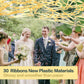 Arouselove Plastic Confetti Poppers No Mess Hand Thrown Streamers for Wedding Birthday Party Celebrations (Gold, 10 Pack)