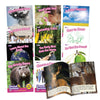 Junior Learning Decodable Readers Sound Families R-Controlled Non-Fiction Phase 5.5, Vowel Sounds, Learn to Read, Easy decodable Texts, with 12 Books