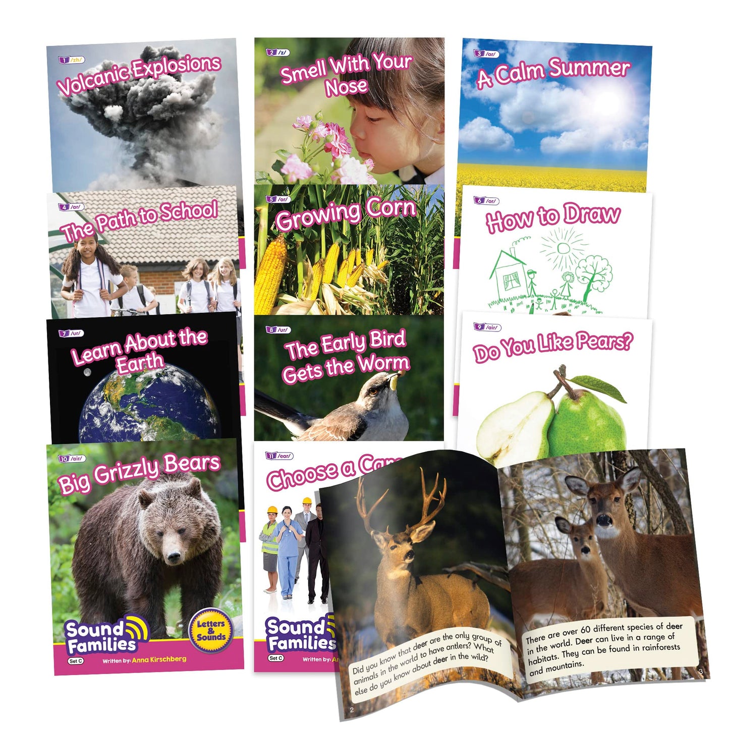 Junior Learning Decodable Readers Sound Families R-Controlled Non-Fiction Phase 5.5, Vowel Sounds, Learn to Read, Easy decodable Texts, with 12 Books