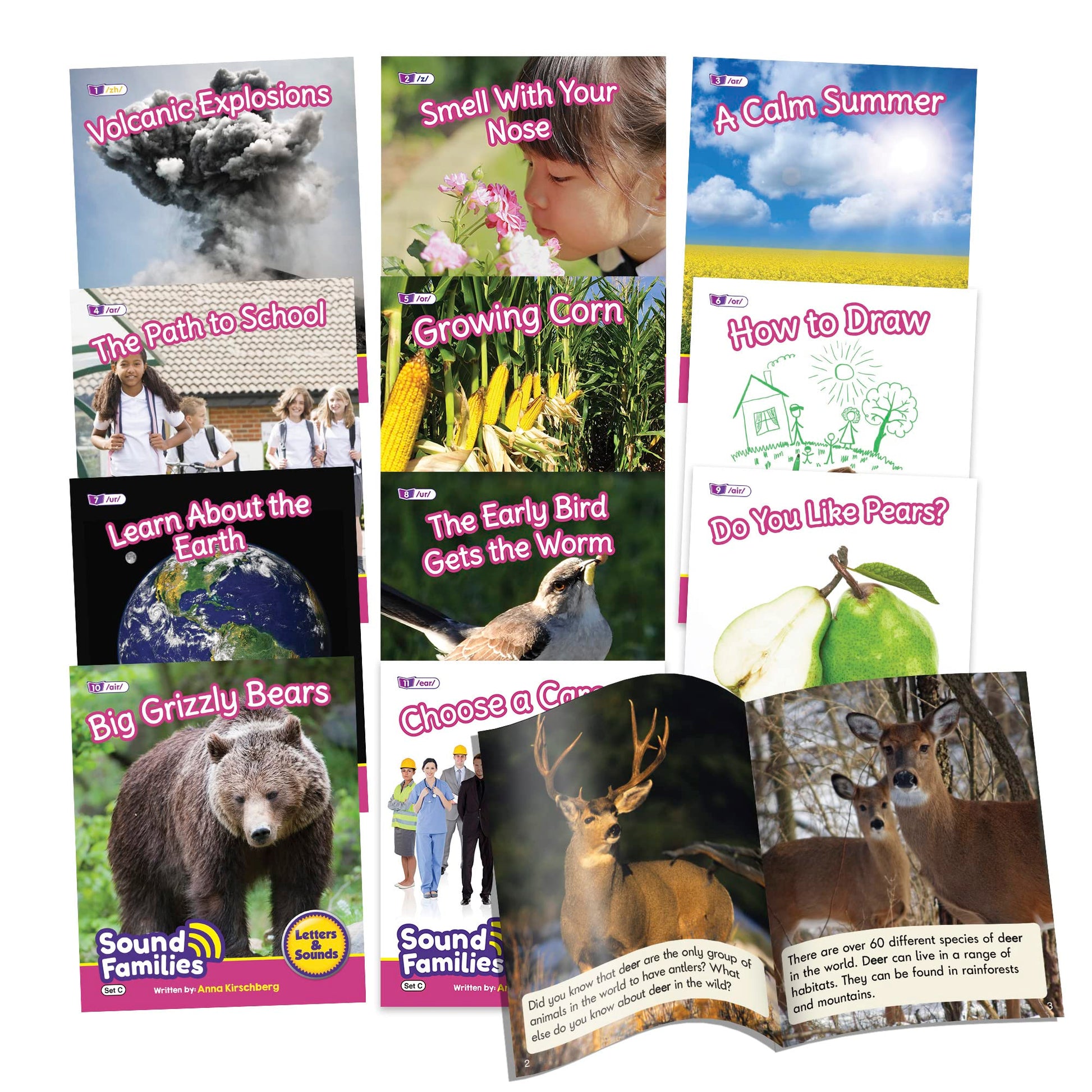 Junior Learning Decodable Readers Sound Families R-Controlled Non-Fiction Phase 5.5, Vowel Sounds, Learn to Read, Easy decodable Texts, with 12 Books