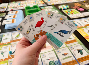 Stonemaier Games: Wingspan Americas Expansion by Elizabeth Hargrave | Add to Wingspan | Includes Small Hummingbird Cards with New Mechanism, 111