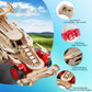 STEM Toys for Boys 8-12, Remote Control F1 Car STEM Building Kit for Kids, 3D Puzzle Science Kits Gift for Boys & Girls Age 8-14 | Birthday Gift Ideas