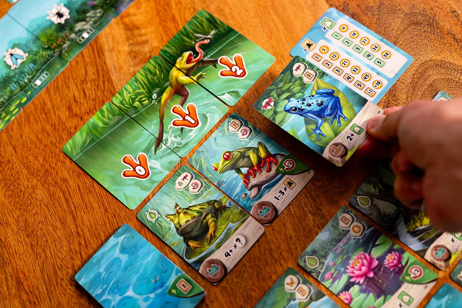 Capstone Games Pondscape - Strategy Card Game for Adults & Teens - 2 Player or More - Asymmetrical, Mystery, Role-Based & Thematic Card Game for Game