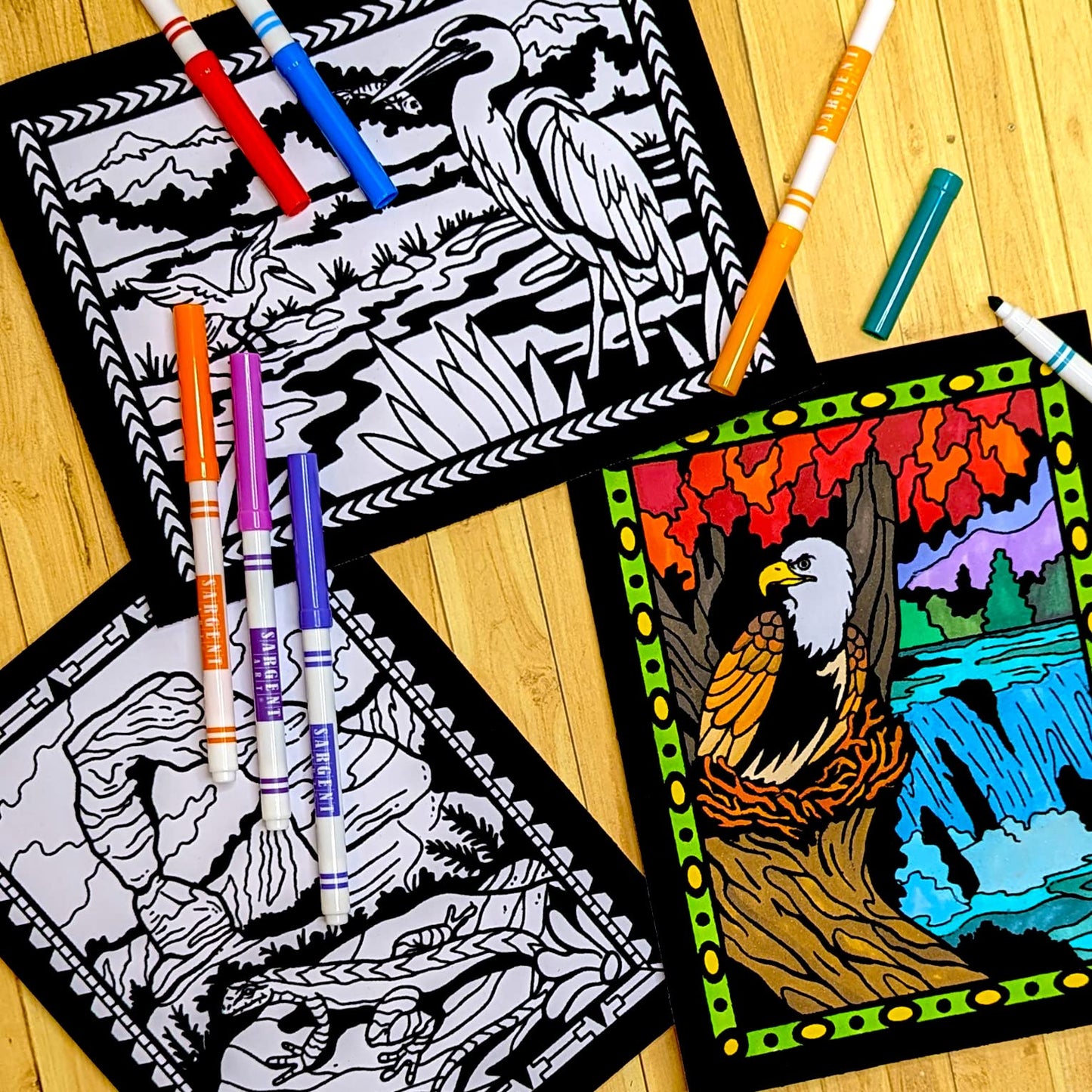 Super Pack of 18 Fuzzy Velvet Coloring Posters (National Parks Edition) - Great for Family Time, Arts & Crafts, Travel, At Home, Care Facilities [All