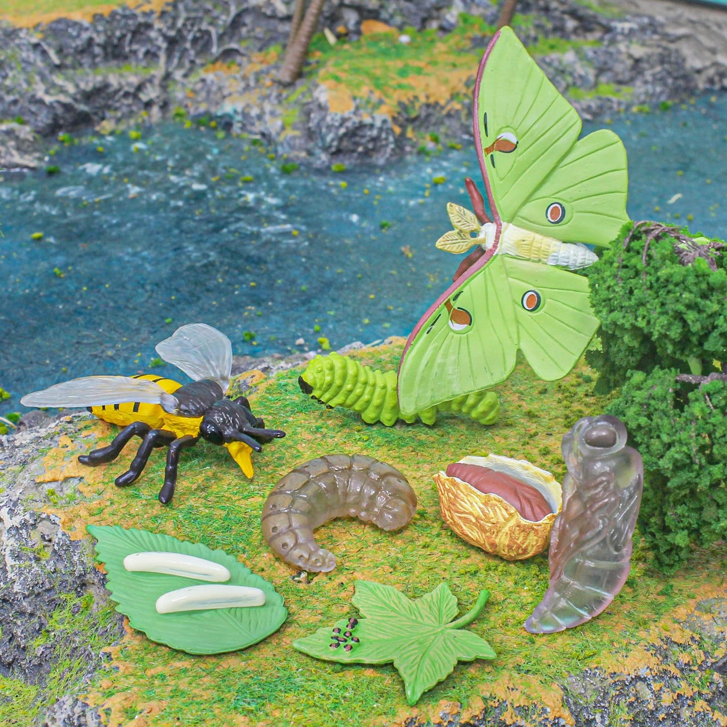 BRETOYIN Life Cycle of a Luna Moth and Bee - 8PCS Lifecycle Set Miniature Insect Lifecycle Collection Realistic Moth Family Educational Toy Figurines