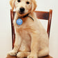 Mattel Puppy Tweets Blue