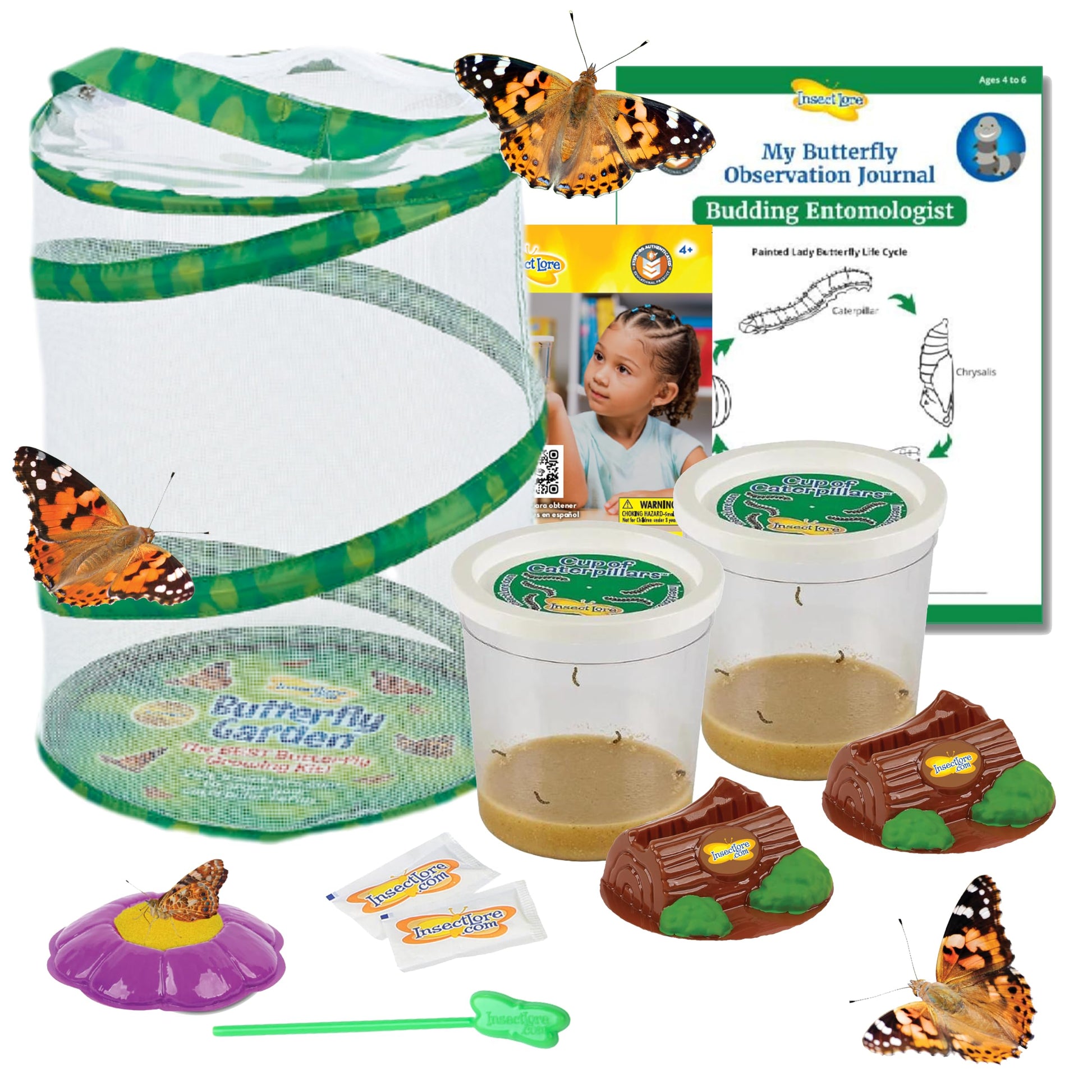 Insect Lore Butterfly Garden with 10 Live Baby Caterpillars - Habitat, Feeder, Chrys-A-Lid Holders, STEM Activity Journal - Raise and Release Painted