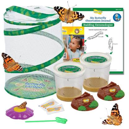 Insect Lore Butterfly Garden with 10 Live Baby Caterpillars - Habitat, Feeder, Chrys-A-Lid Holders, STEM Activity Journal - Raise and Release Painted