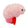 GIANT MICROBES Brain Plush - Anatomical Brain with Embroidered Details