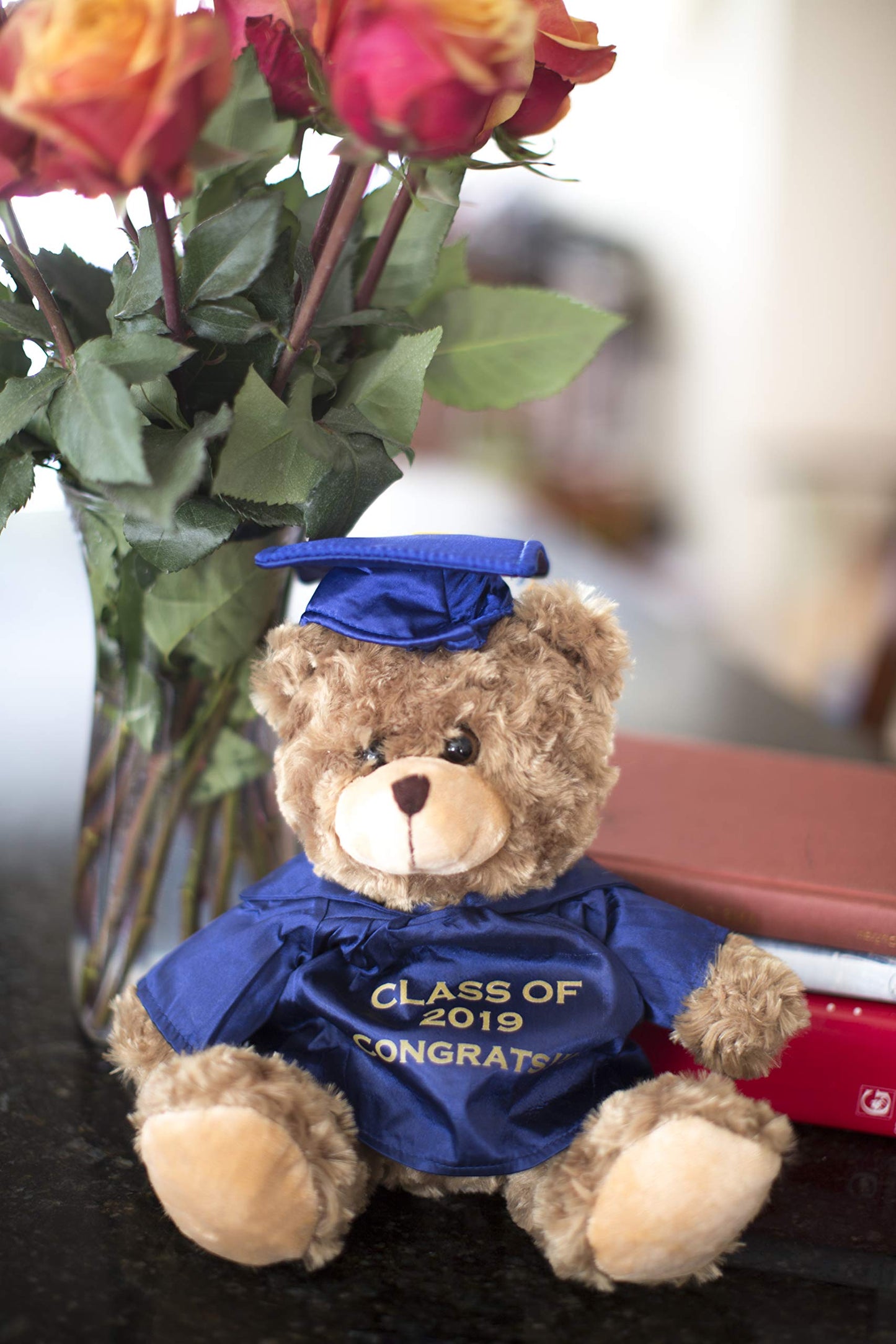 Plushland Plush Stuffed Animal Toys 12 Inches Present Gifts for Graduation Day, Personalized Text, Name or Your School Logo on Gown, Best for Any Grad