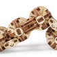 UGEARS Flexi-Cubus Brainteaser, 3D Mechanical Model, Wooden Puzzle - Ideal Gift for Adults and Teens