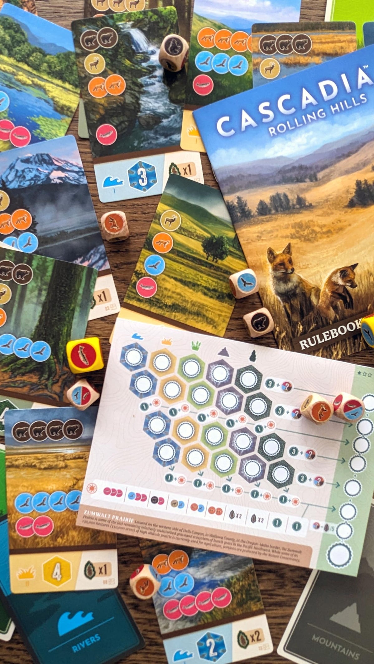 Cascadia: Rolling Hills Standalone Flip, Roll & Write Puzzly Dice Game Fun!