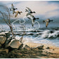 Buffalo Games - Bluebill Point - 1000 Piece Jigsaw Puzzle for Adults