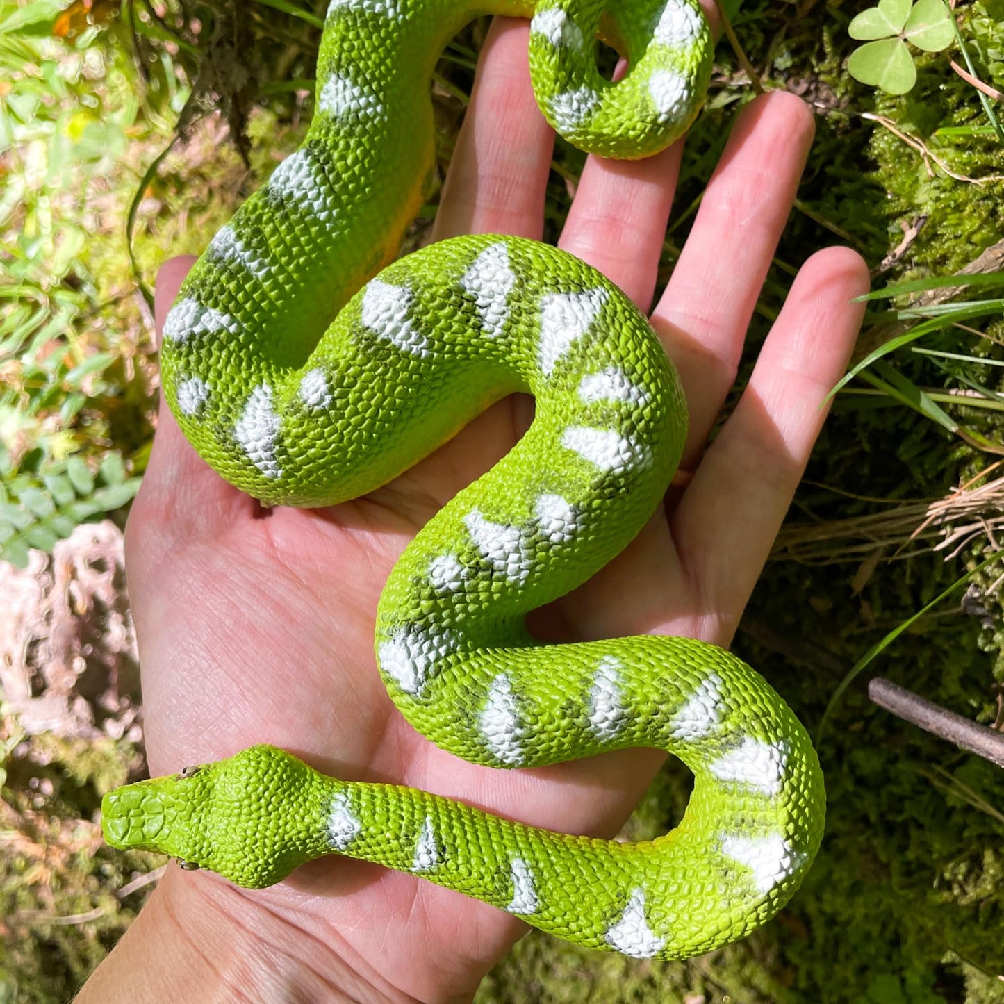 Safari Ltd. Emerald Tree Boa Figurine - Lifelike 7.25" Plastic Snake Model - Educational Toy for Boys, Girls & Kids Ages 3+
