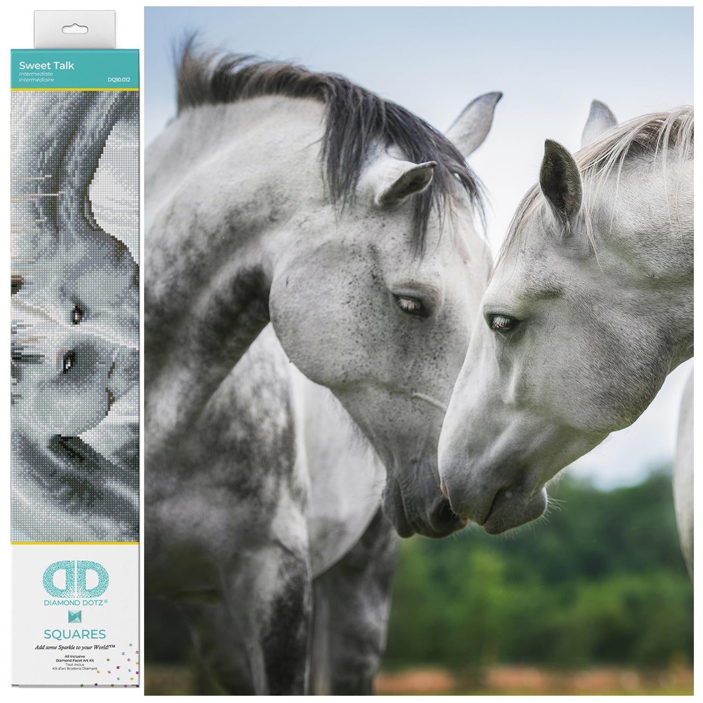 DIAMOND DOTZ Sweet Talk Horse Diamond Painting Kits for Adults - Diamond Art Kits a Relaxing Creative Craft Kit with Dotz Gems