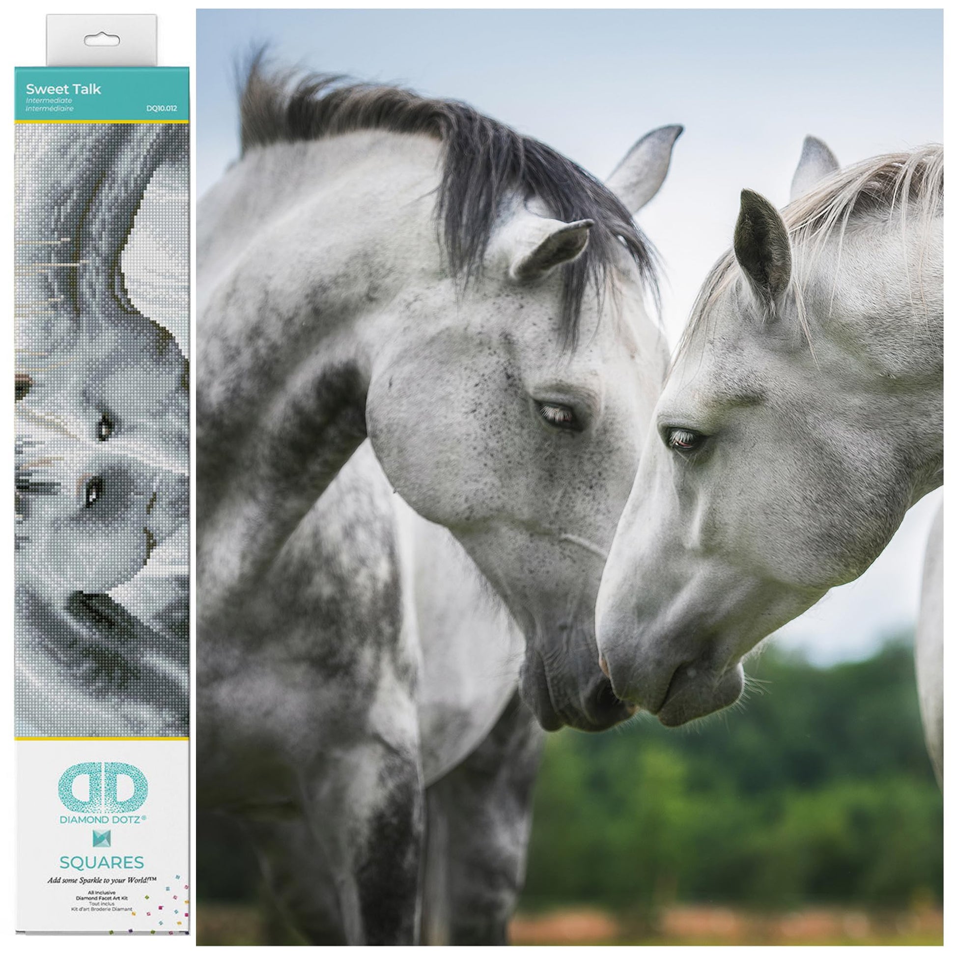 DIAMOND DOTZ Sweet Talk Horse Diamond Painting Kits for Adults - Diamond Art Kits a Relaxing Creative Craft Kit with Dotz Gems