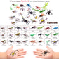 PINOWU 27pcs Bug Toy Figures Playset for Kids Boys, 2-6' Fake Insects - Spiders, Cockroaches, Scorpions, Crickets, Lady Bugs, Butterflies and Worms