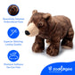 The Petting Zoo Brown Bear Stuffed Animal Plushie, Gifts for Kids, Earth Keeperz Wildlife Animals, Zoologee Brown Bear Plush Toy, 12 inches