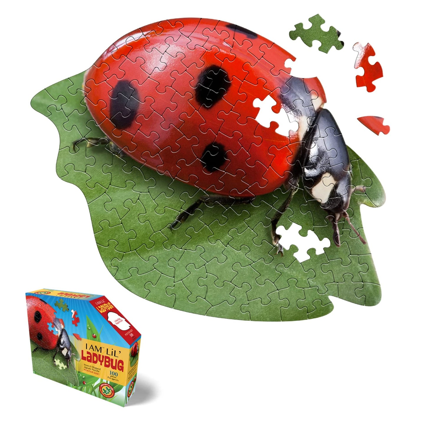 Madd CAPP Lil' Ladybug 100 Piece Jigsaw Puzzle for Ages 5 & Up- Unique Animal-Shaped, Poster-Sized, Pieces are Oversized, Includes Educational Madd