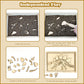 Dinosaur Excavation Archaeology Dig Kit for Kids, Fossil Explore Sensory Bin Toys, Dino Skeletons Bones Puzzle Game, Archaeology Science STEM Toys