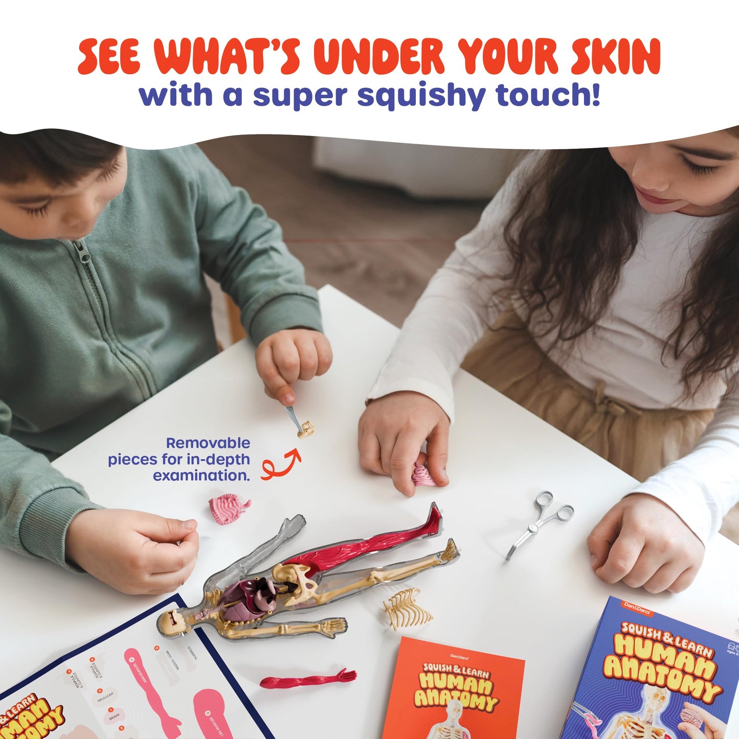 Dan&Darci Human Anatomy Squishy Body Model - Science Kits for Kids Ages 4-8 - STEM Toys for 4 5 6 7 8 Year Old Boy Birthday Gift - Learning