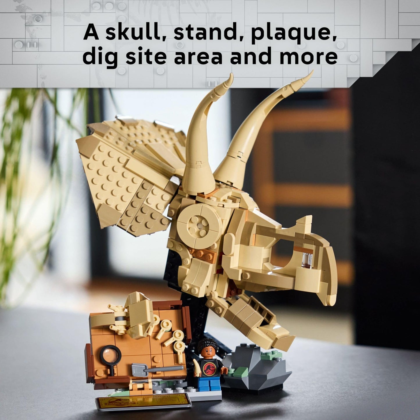 LEGO Jurassic World Dinosaur Fossils Triceratops Skull Toy - Dinosaur Toy Fossil Building Set for Kids, Boys and Girls, Ages 9+ - Model Display Kit