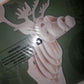 Mounted Deer 3-D Wooden Puzzle 38 Precision cut pieces by reward