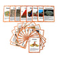 Geography Flash Card Set(15 Pcs)| Science Learning Cards Perfect for Back to School Supplies, Elementary Teacher/Autism Therapists Geology Tools |