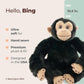 Bearington Bing The Stuffed Monkey Plush - 10.5" Chimpanzee Plush Toy with Soft Fur and Lifelike Features - Adorable Stuffed Animal Monkeys Cuddly