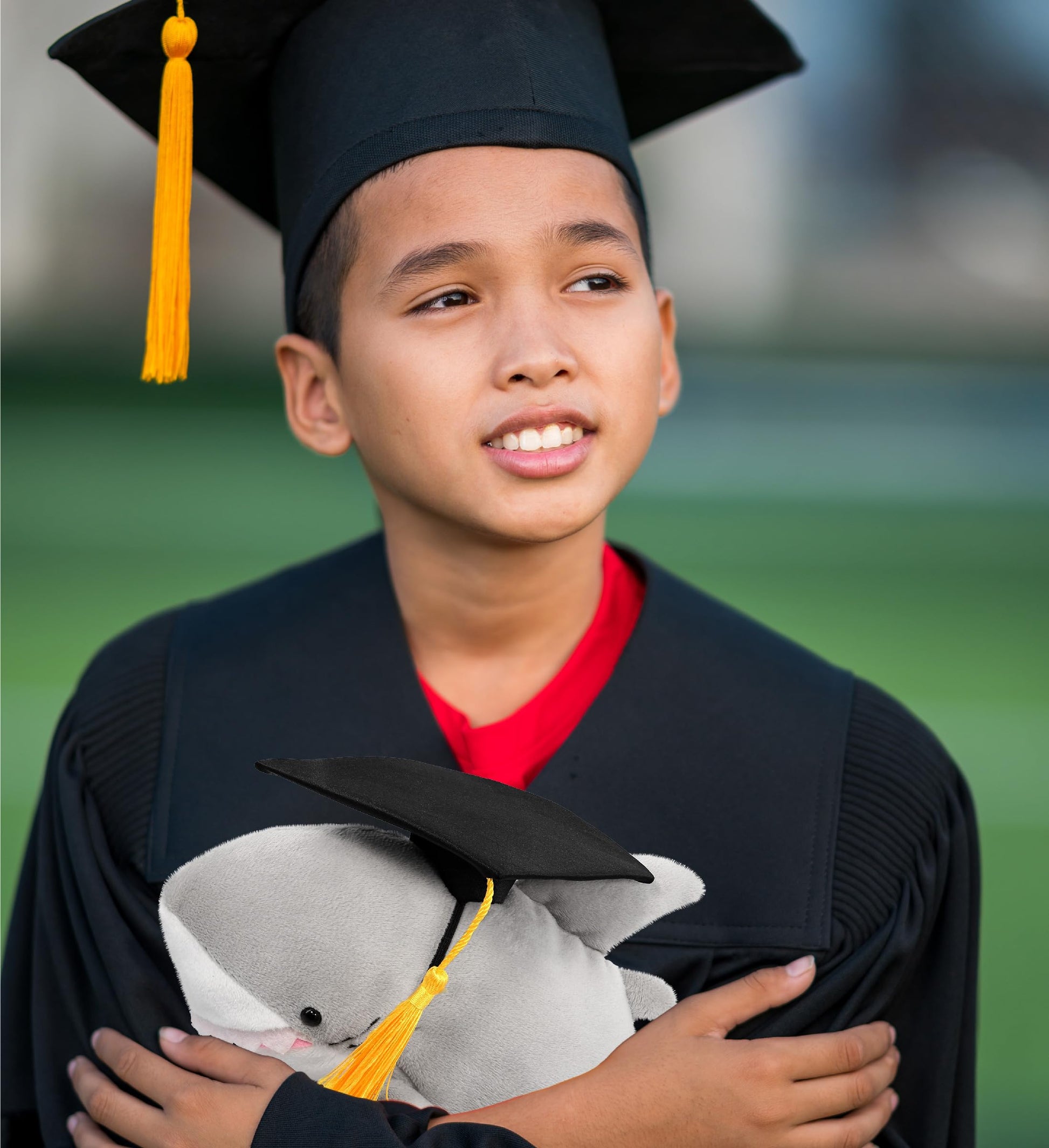 DolliBu Shark Graduation Plush Toy - Soft Huggable Graduation Stuffed Animal Dress Up with Gown and Cap with Tassel Outfit - Gift with Personalization