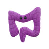 GIANT MICROBES Colon Plush, Funny Colonoscopy Gifts, Colon Cancer Awareness Items, Gastroenterology Gifts, Surgery Recovery Items, Colonoscopy Gift
