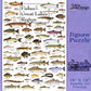 Heritage Puzzle - Fishes of The Great Lakes Region by Duane Raver & Ellen Edmundson 550 Piece Puzzles for Adults - Detailed Nature & Fishing Art