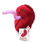 I Heart Guts Placenta Plush - Cute Educational Organ Toy for Childbirth & Postpartum - Funny Get Well Recovery Gift for Labor Delivery Nurse Patients