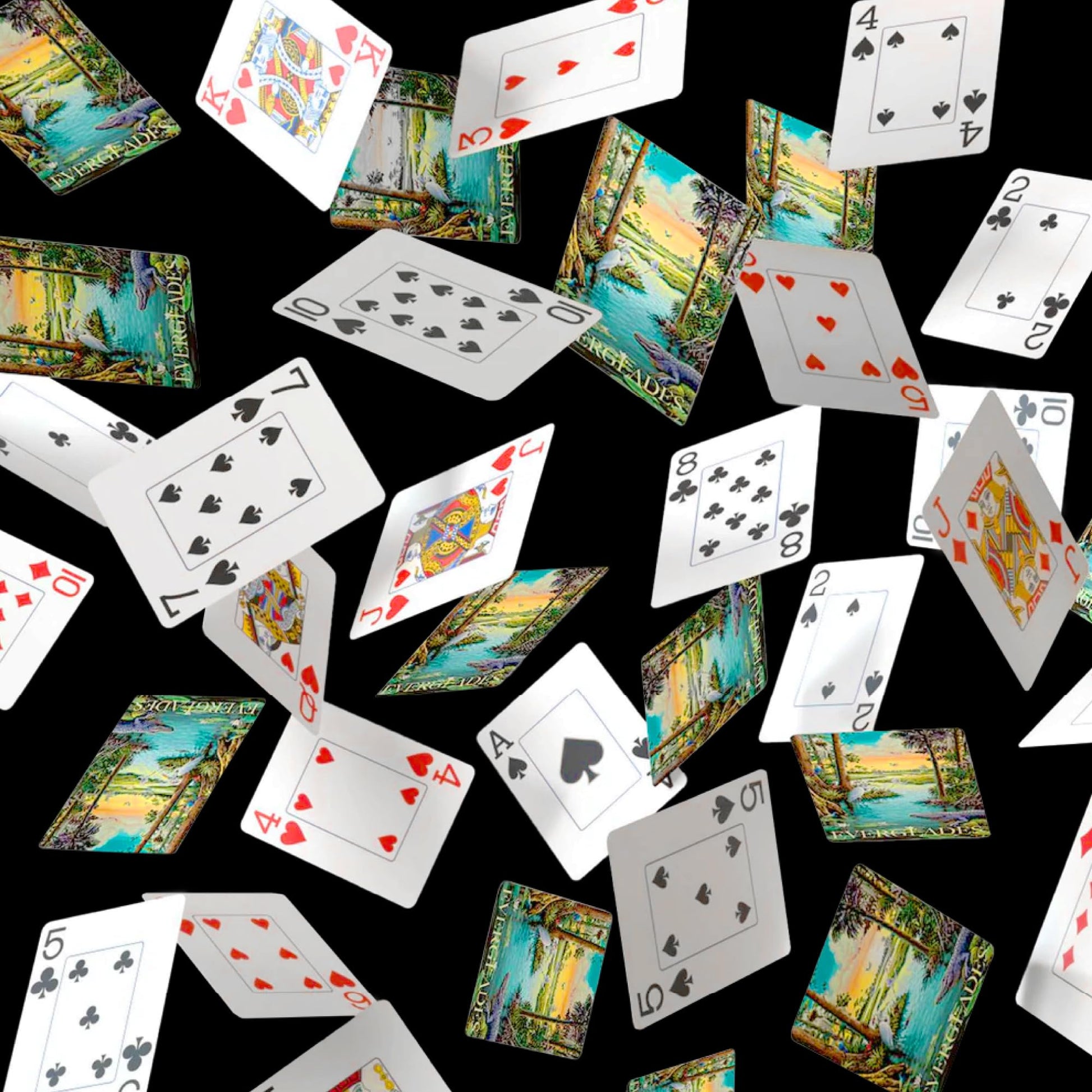 Boardwalk Puzzles Everglades, Featherlight Unique Playing Cards, Fun Themed Deck for Home and Travel