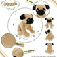 DolliBu Sitting Pug Stuffed Animal Dog Plush Toy, Kids & Adults Huggable Puppy Cuddle Gifts, Cute Stuffed Animals for Toddler & Baby First Teddy Bear