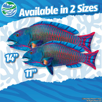 Real Planet 11" Parrot Fish Stuffed Animal - Realistic Plush Fishing Toys, Coral Reef Toys, Educational Stuffed Animals, Ocean Plush Sea Animals