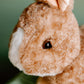 The Petting Zoo Rabbit Stuffed Animal Plushie, Gifts for Kids, Wild Onez Wildlife Animals, Brown Bunny Plush Toy 12 inches