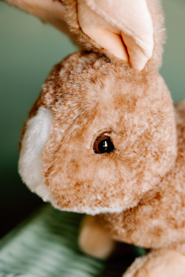 The Petting Zoo Rabbit Stuffed Animal Plushie, Gifts for Kids, Wild Onez Wildlife Animals, Brown Bunny Plush Toy 12 inches