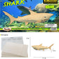 Puzzled 3D Puzzle Shark Wood Craft Construction Model Kit, Fun Unique and Educational DIY Wooden Toy Assemble Model Unfinished Crafting Hobby Puzzle