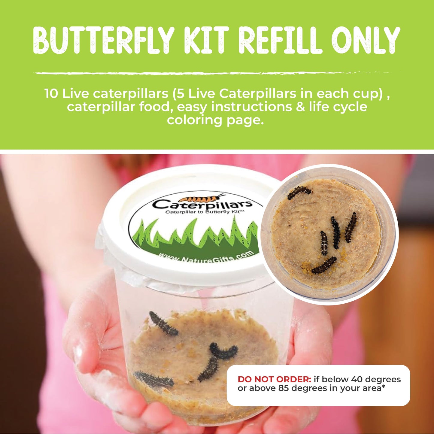 10 Live Caterpillars for Butterfly Kits, Painted Lady Refill with Food