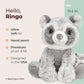 Bearington Ringo Stuffed Raccoon Plush Toy - 10.5" Raccoons Stuffed Animals with Soft Faux Fur, Weighted Inner Bean Bag and Poseable Floppy Body