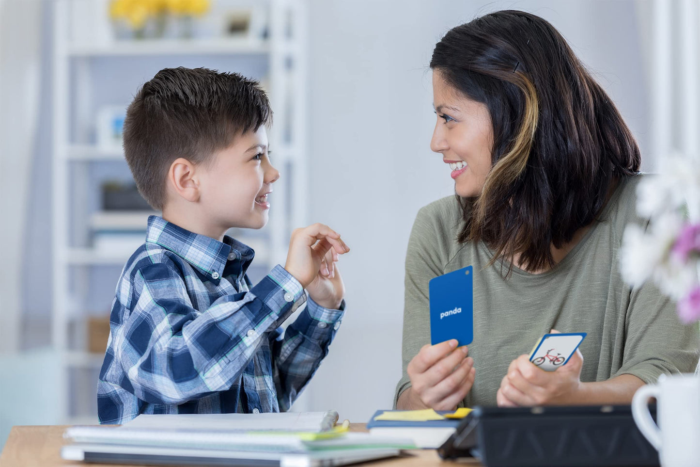 Categories Flash Cards (EP62079)